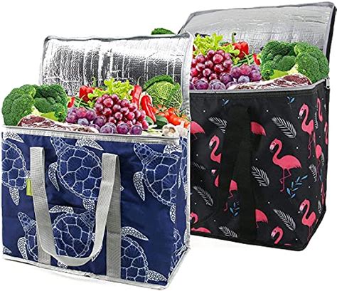 best insulated grocery bags 2022.